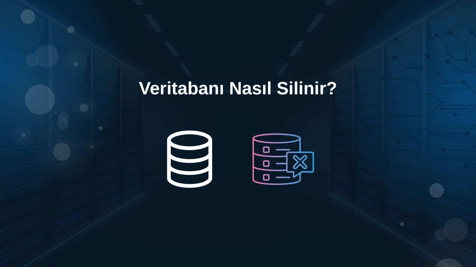 Veritabanı Nasıl Silinir?