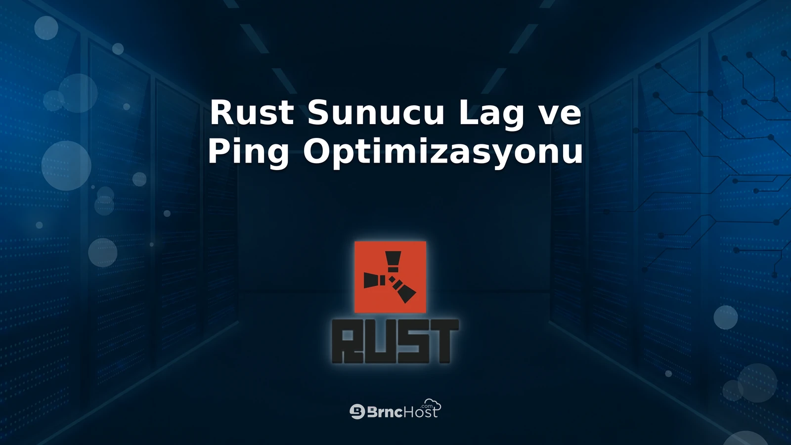 Rust Sunucu Lag ve Ping Optimizasyonu
