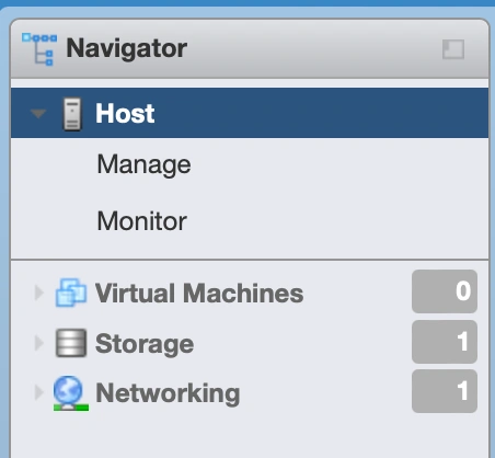 ESXi Web Arayüzü