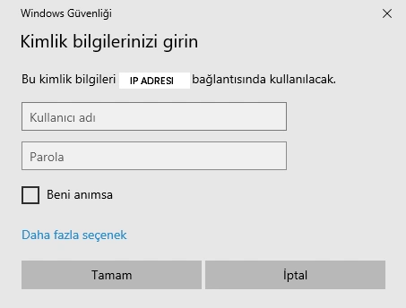 Dil Seçenekleri